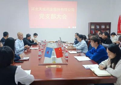 公司黨支部召開黨員大會(huì)
